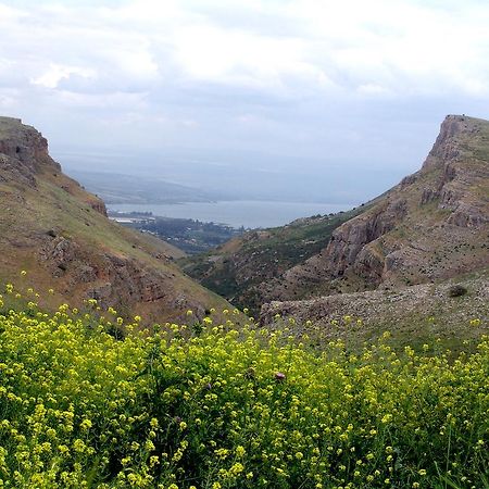 Arbel Holiday Homes Εξωτερικό φωτογραφία