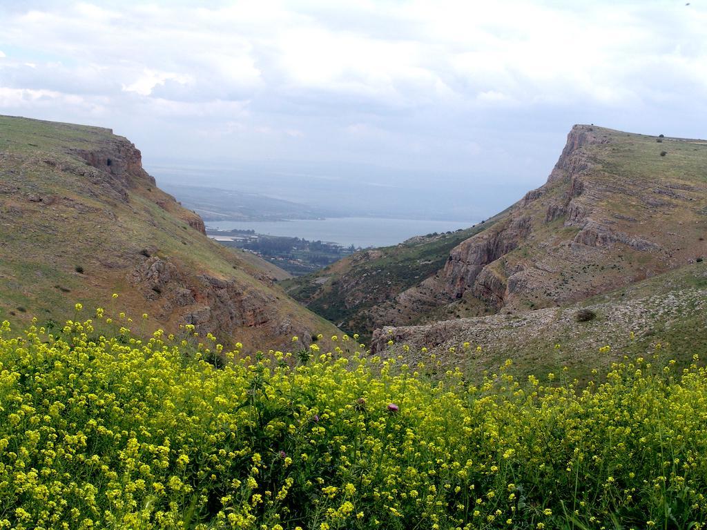 Arbel Holiday Homes Εξωτερικό φωτογραφία